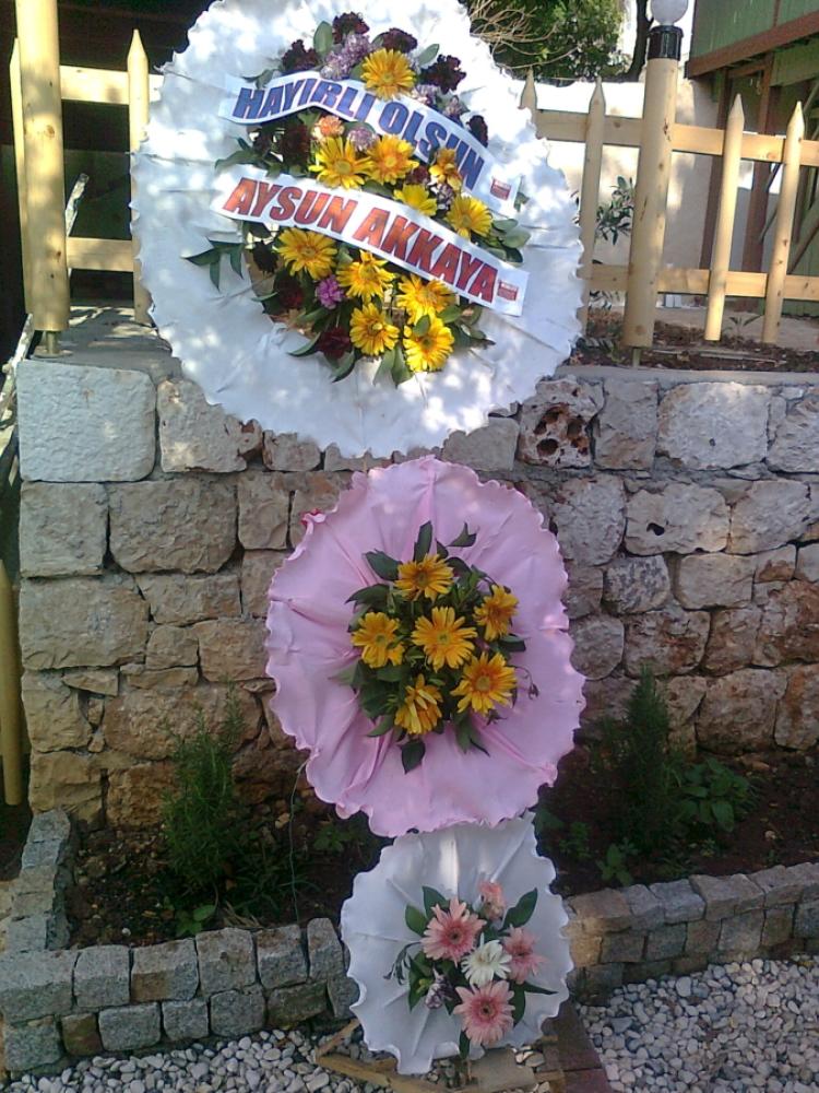 Fotoğraf2113